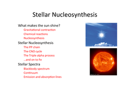 Stellar Nucleosynthesis