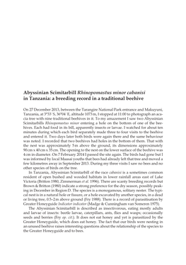 Abyssinian Scimitarbill Rhinopomastus Minor Cabanisi in Tanzania: a Breeding Record in a Traditional Beehive