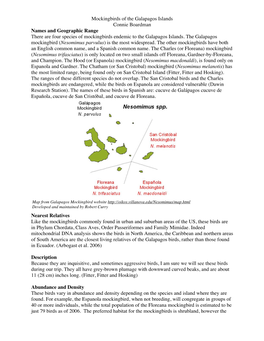 Mockingbirds of the Galapagos Islands Connie Boardman Names and Geographic Range There Are Four Species of Mockingbirds Endemic to the Galapagos Islands