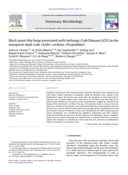 Black Yeast-Like Fungi Associated with Lethargic Crab Disease (LCD) in The