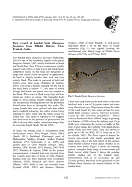 102 First Record of Banded Krait (Bungarus Fasciatus) from Pilibhit