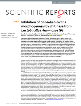 Inhibition of Candida Albicans Morphogenesis by Chitinase From