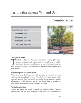 Terminalia Arjuna Wt. and Arn