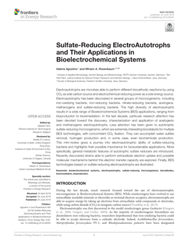 Sulfate-Reducing Electroautotrophs and Their Applications in Bioelectrochemical Systems