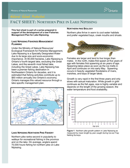 Fact Sheet: Northern Pike in Lake Nipissing