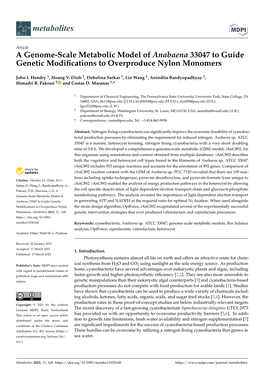 A Genome-Scale Metabolic Model of Anabaena 33047 to Guide Genetic Modiﬁcations to Overproduce Nylon Monomers