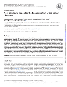 New Candidate Genes for the Fine Regulation of the Colour of Grapes