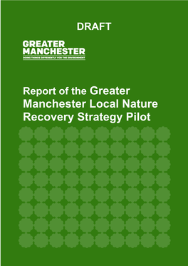 Manchester Local Nature Recovery Strategy Pilot