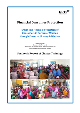 Synthesis Report-Cluster Level Trainings-Financial Consumer