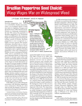 Brazilian Peppertree Seed Chalcid: Wasp Wages War on Widespread Weed