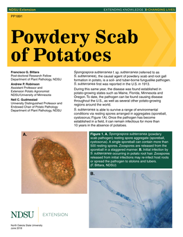 PP1891 Powdery Scab of Potatoes