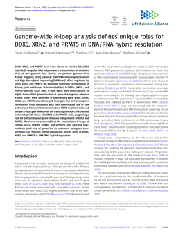 Genome-Wide R-Loop Analysis Defines Unique Roles for DDX5, XRN2, And