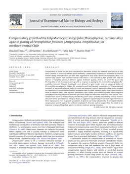 Compensatory Growth of the Kelp Macrocystis Integrifolia