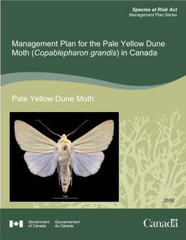 Management Plan for the Pale Yellow Dune Moth (Copablepharon Grandis) in Canada