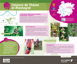 Coteaux De Thézac Et Montayral