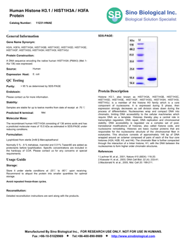 Human Histone H3.1 / HIST1H3A / H3FA Protein