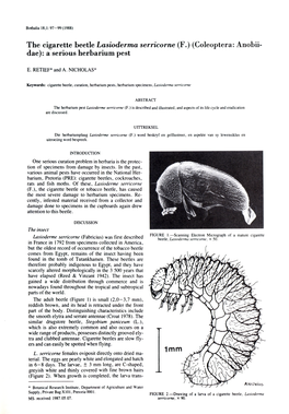 The Cigarette Beetle Lasioderma Serricorne (F.) (Coleoptera: Anobii- Dae): a Serious Herbarium Pest