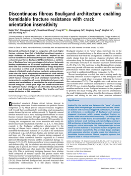 Discontinuous Fibrous Bouligand Architecture Enabling Formidable Fracture Resistance with Crack Orientation Insensitivity