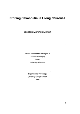 Probing Calmodulin in Living Neurones