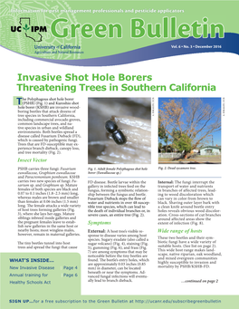 Invasive Shot Hole Borers Threatening Trees in Southern California He Polyphagous Shot Hole Borer T(PSHB) (Fig