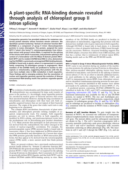 A Plant-Specific RNA-Binding Domain Revealed Through Analysis of Chloroplast Group II Intron Splicing