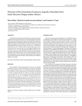 Diversity of the Crinocheta (Crustacea, Isopoda, Oniscidea) from Early Miocene Chiapas Amber, Mexico