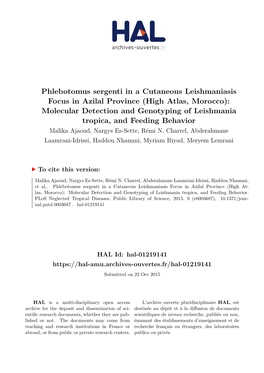 Phlebotomus Sergenti in a Cutaneous Leishmaniasis Focus in Azilal