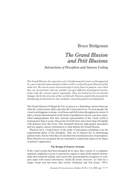 Grand Illusion and Petit Illusions Interactions of Perception and Sensory Coding