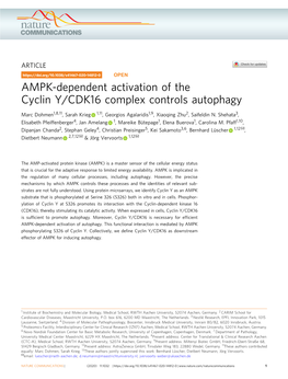 AMPK-Dependent Activation of the Cyclin Y/CDK16 Complex Controls Autophagy