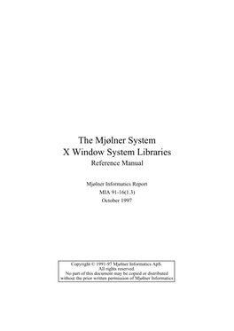 The X Window System Libraries(*)