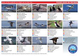 Some of the Seabirds We Might See on the Trip... PLEASE LEAVE on the BOAT