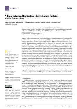 A Link Between Replicative Stress, Lamin Proteins, and Inflammation