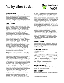 Methylation Basics