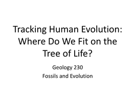 Tracking Human Evolution: Where Do We Fit on the Tree of Life? Geology 230 Fossils and Evolution Phylogenetic Classification of Humans