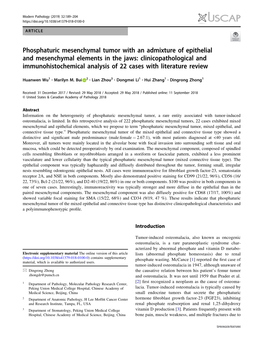 Phosphaturic Mesenchymal Tumor with an Admixture of Epithelial And