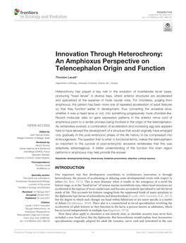 An Amphioxus Perspective on Telencephalon Origin and Function