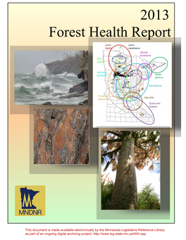 2013 Minnnesota Forest Health Report