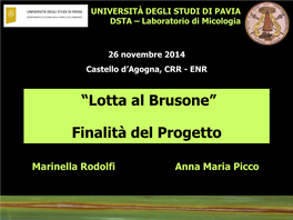 “Lotta Al Brusone” Finalità Del Progetto