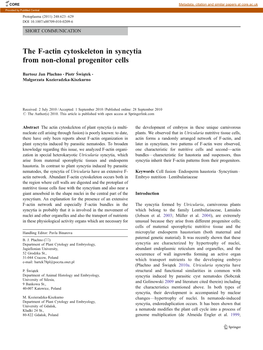 The F-Actin Cytoskeleton in Syncytia from Non-Clonal Progenitor Cells