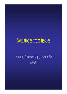 Nematodes from Tissues