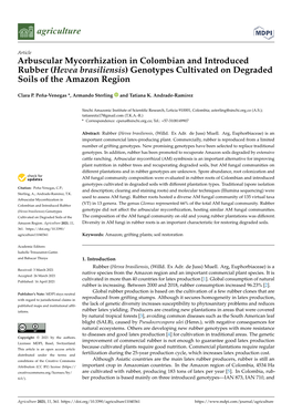 Genotypes Cultivated on Degraded Soils of the Amazon Region