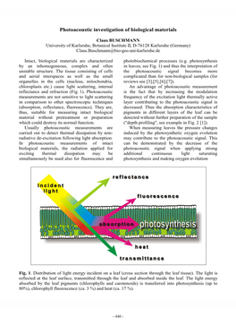 Photoacoustic Investigation of Biological Materials