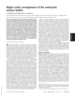 Higher Order Arrangement of the Eukaryotic Nuclear Bodies