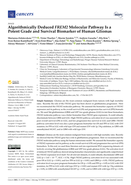 Algorithmically Deduced FREM2 Molecular Pathway Is a Potent Grade and Survival Biomarker of Human Gliomas