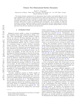 Closed, Two Dimensional Surface Dynamics