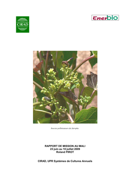 RAPPORT DE MISSION AU MALI 23 Juin Au 10 Juillet 2009 Roland PIROT