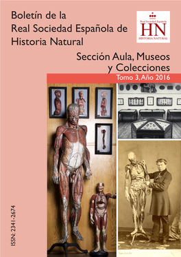 Sección Aula, Museos Y Colecciones