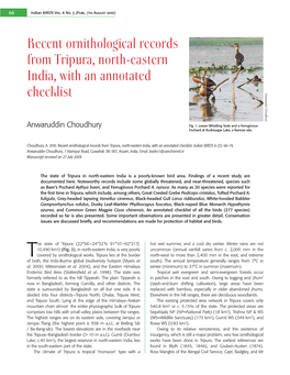 Recent Ornithological Records from Tripura, North-Eastern India, with an Annotated
