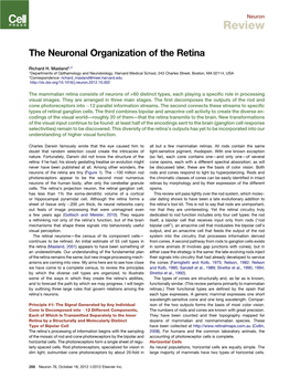 The Neuronal Organization of the Retina