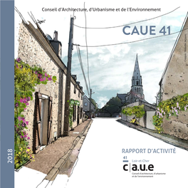 Rapport D'activité 2018